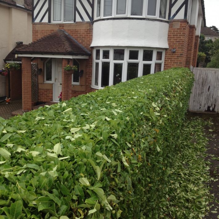 Hedge cutting in Bournemouth