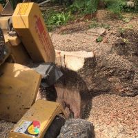 Tree stump removal in Christchurch using a stump grinding machine